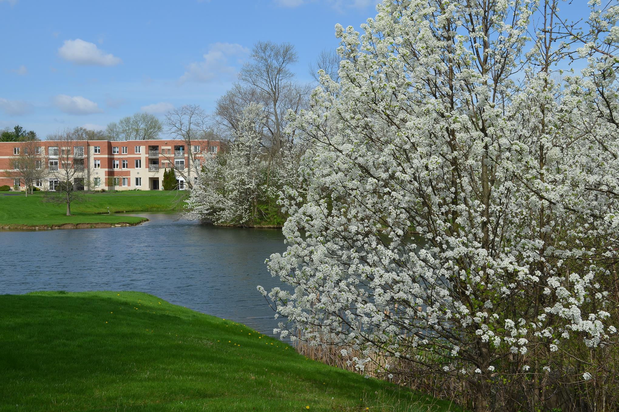 Berea Alzheimer's Care Center 49 Sheldon Rd Senior Care Finder