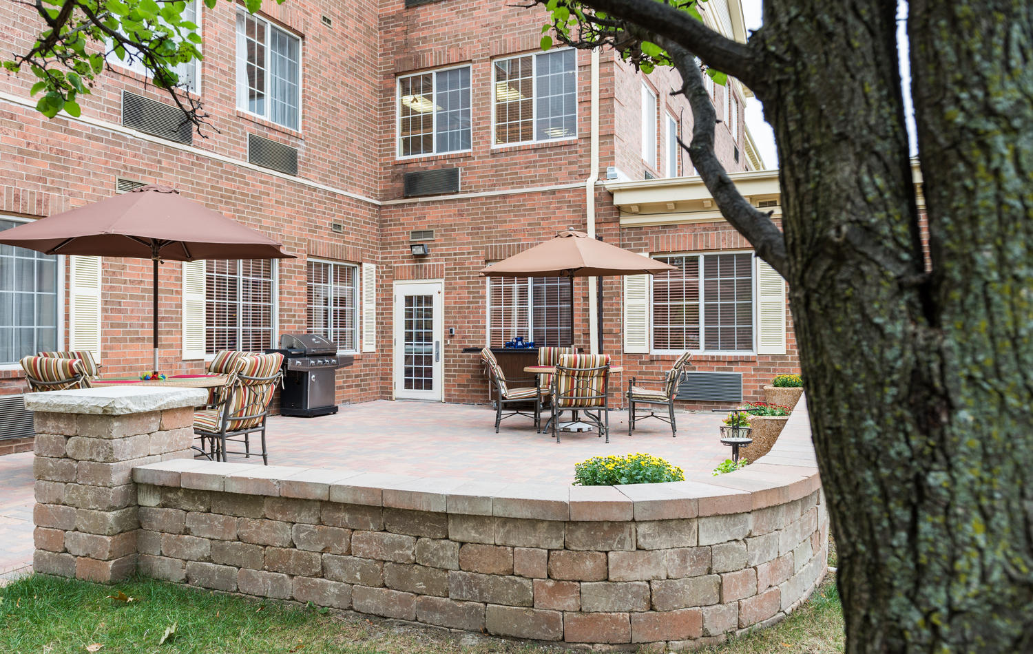 Elevate Care Palos Heights Palos Heights, IL Senior Care Finder