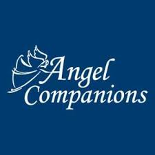 angel-companions-image-1