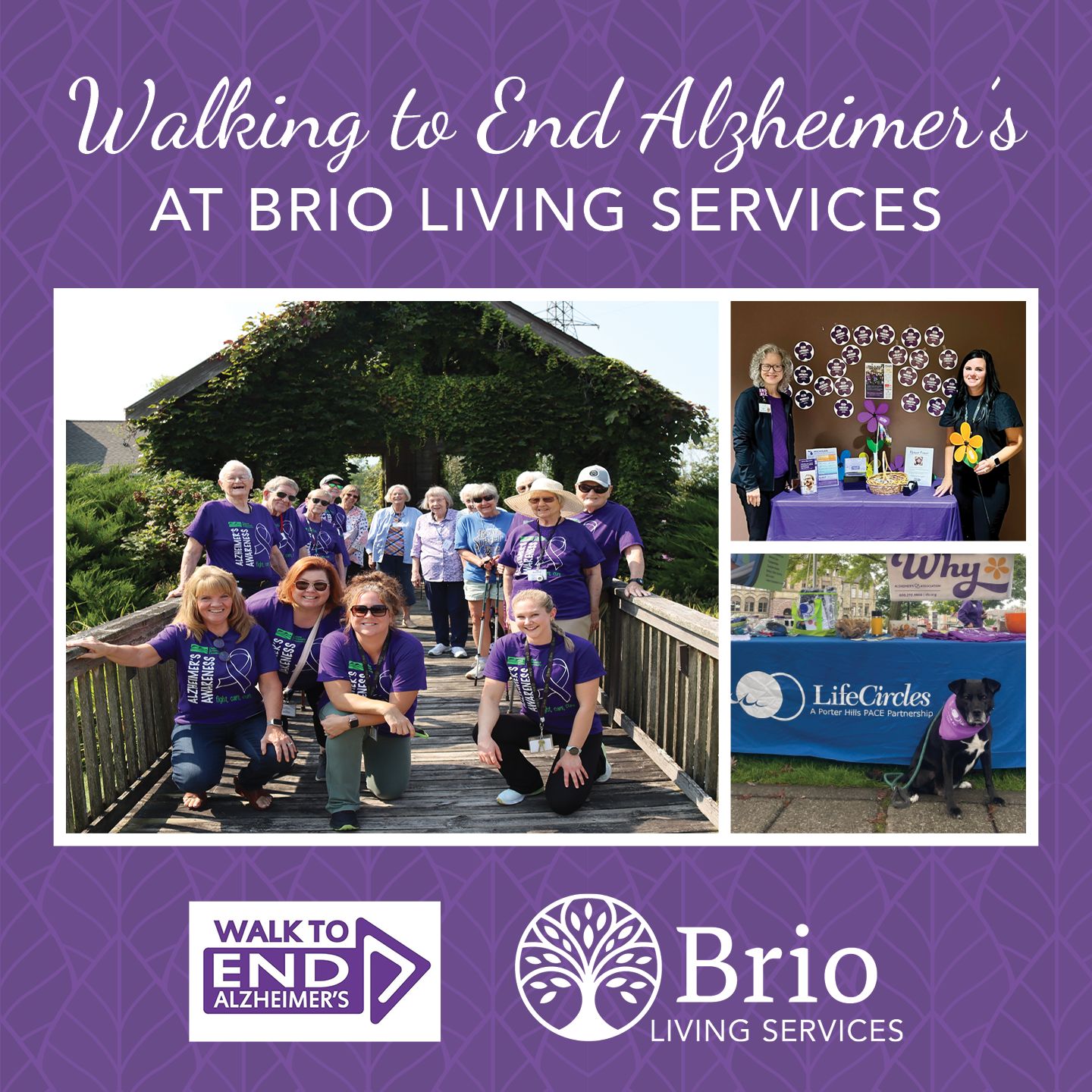 Brio walk to end Alzheimer's